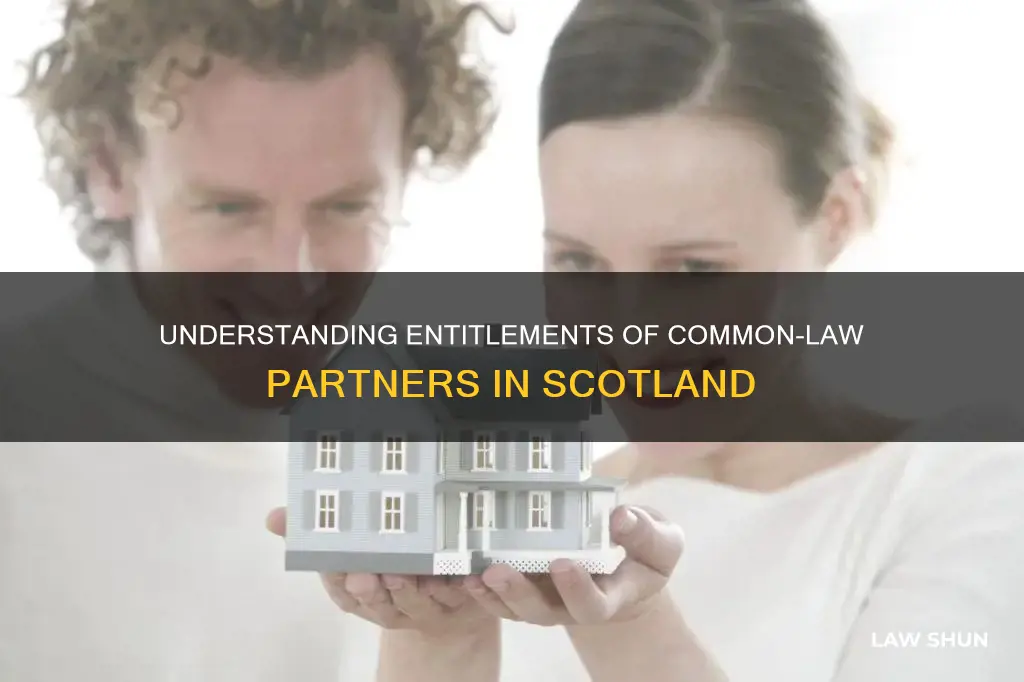 what is a common law partner entitled to in scotland