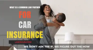 Understanding Common-Law Partners for Car Insurance