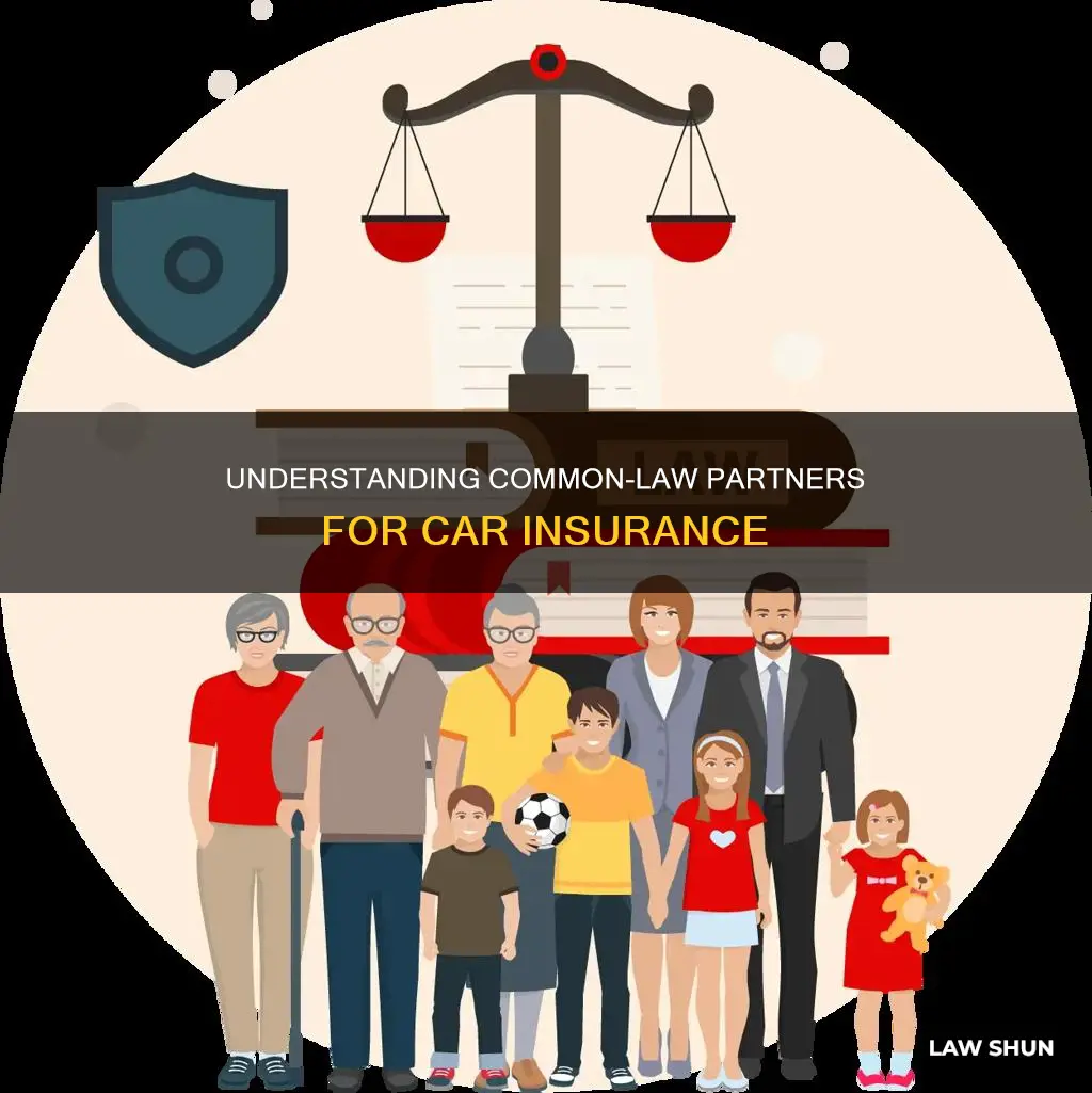 what is a common law partner for car insurance