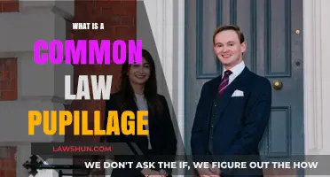 How to Get a Common Law Pupillage