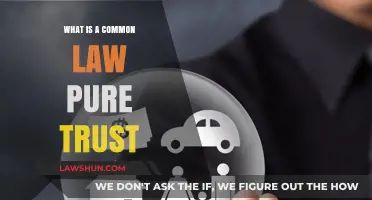 Understanding Common Law Pure Trusts: Their Nature and Function
