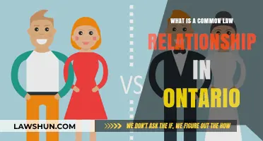 Understanding Common Law Relationships in Ontario