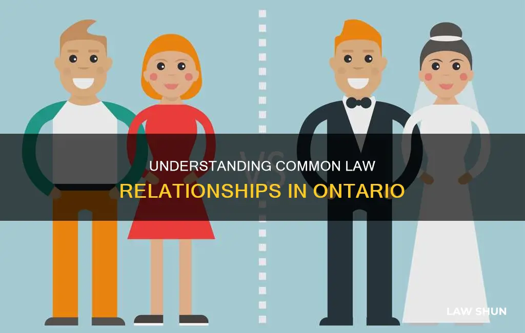 what is a common law relationship in ontario