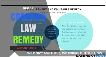 Understanding Common Law Remedies: Legal Options Explored