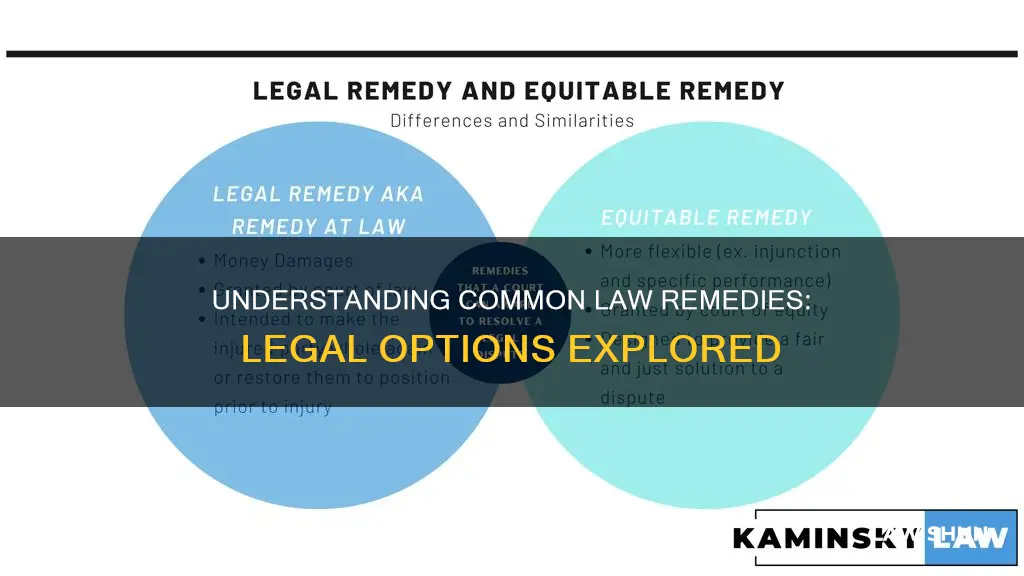 what is a common law remedy