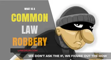 Robbery and Common Law: Understanding the Basics