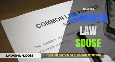 Understanding Common Law Spouse Rights