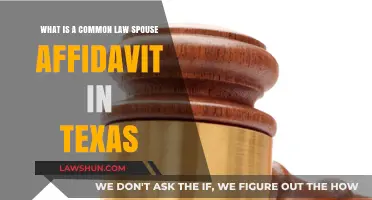 Understanding Texas Common Law Spouse Affidavits