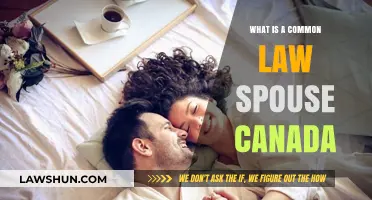 Understanding Common-Law Spouse Rights in Canada