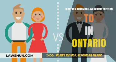 Understanding Common Law Spouse Entitlements in Ontario