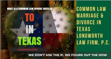 Understanding Common Law Spouse Entitlements in Texas