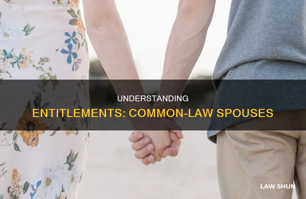 what is a common law spouse entitled to