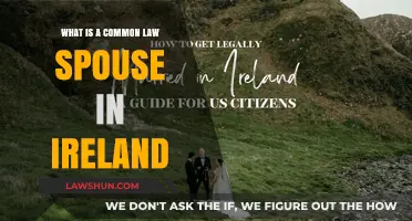 Understanding Common-Law Spouse Rights in Ireland