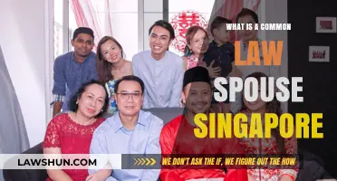 Understanding Common Law Spouses in Singapore