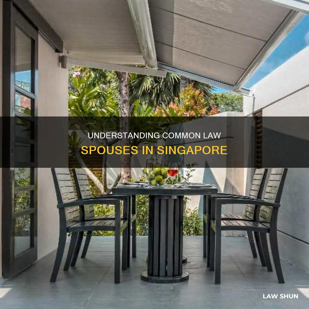 what is a common law spouse singapore