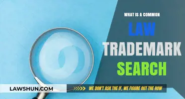 Trademark Search: Common Law and Your Brand