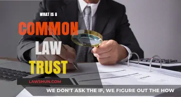 Understanding Common Law Trusts: Definition and Basics