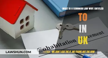 Understanding Common-Law Wife Entitlements in the UK