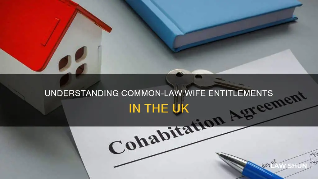 what is a common law wife entitled to in uk