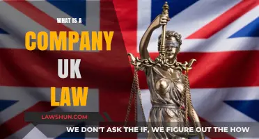 Understanding Company Law in the UK: A Comprehensive Guide