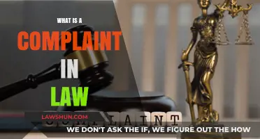 Understanding Legal Grievances: What Constitutes a Complaint in Law?