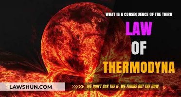 The Inevitable Heat Death: Exploring the Third Law's Ultimate Consequence