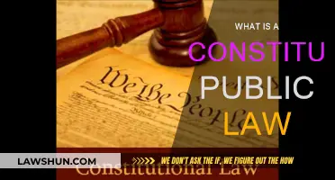 The Constitution: Public Law Foundation