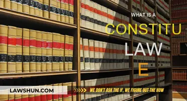 Understanding Constitutional Law: Exploring Its Fundamentals