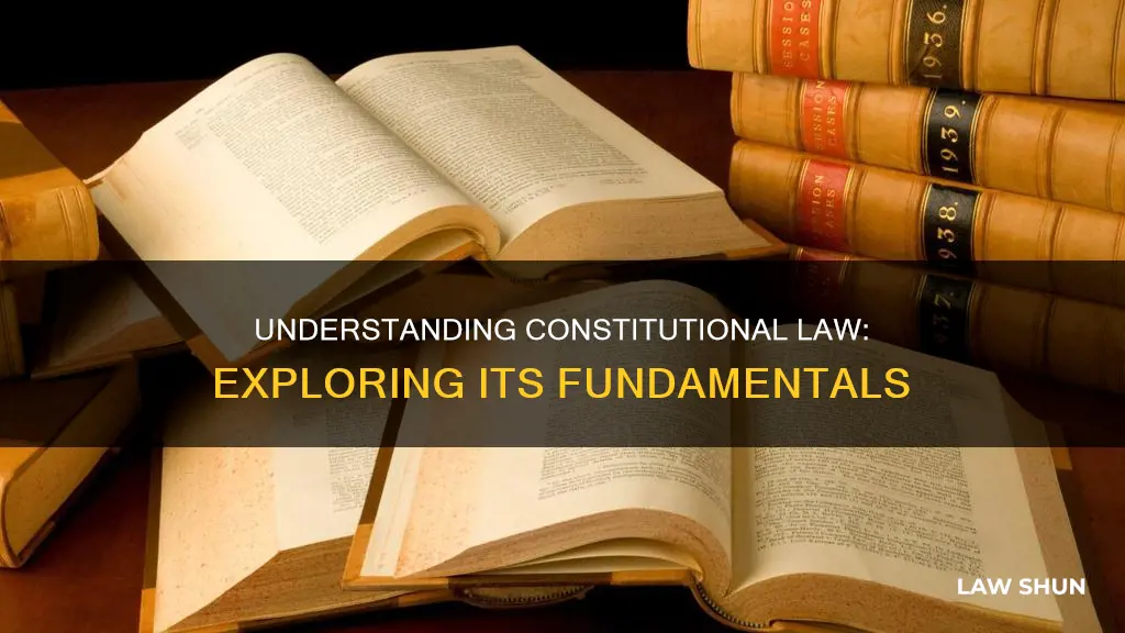 what is a constitutional law e
