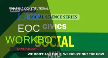 Constitutional Law EOC Workbook: Exam Success