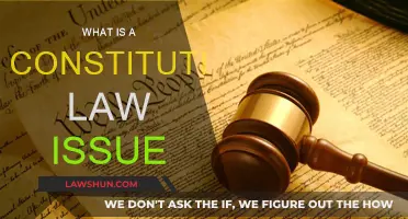 Constitutional Law: Understanding Legal Issues