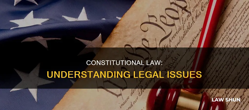 what is a constitutional law issue
