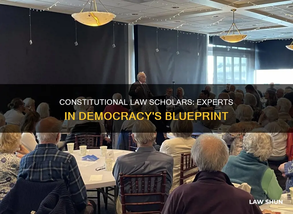 what is a constitutional law scholar