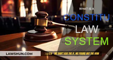 Understanding Constitutional Law Systems: Definition and Basics