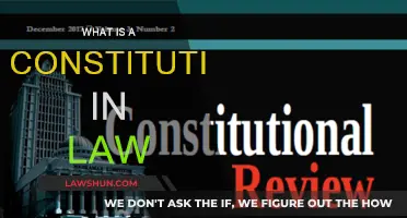 Constitutionalism: Law's Foundation and Limits