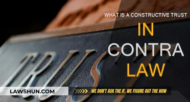 Constructive Trust Basics: When Contracts Fail