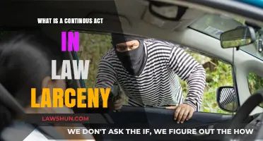 Understanding Continuous Acts in Law: Larceny Explained