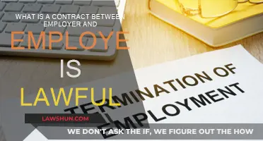 Understanding Lawful Contracts: Employer-Employee Rights