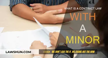 Contract Law: Minors and Their Rights