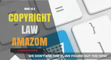 Understanding Copyright Law: Amazon's Role and Key Legal Insights