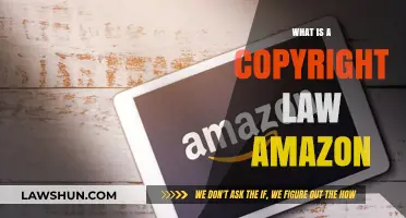 Understanding Amazon's Copyright Law: A Comprehensive Guide for Sellers