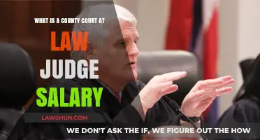 County Court at Law Judge Salary: Understanding Compensation and Benefits
