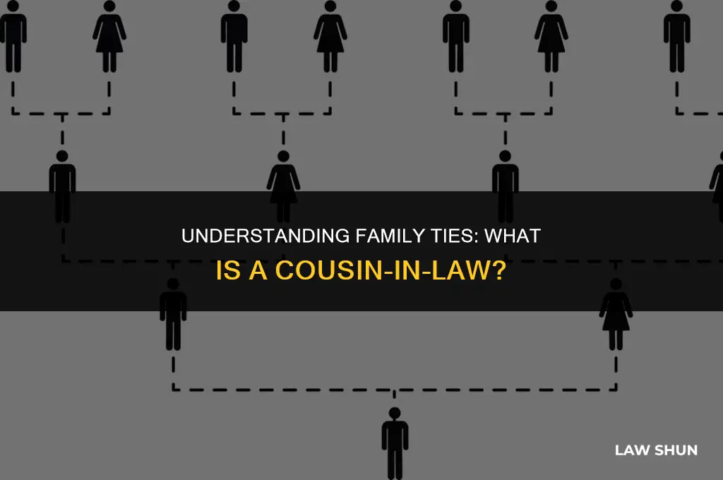what is a cousin in law