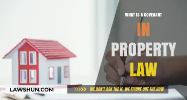 Understanding Property Law Covenants: Definition, Types, and Legal Implications