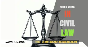 Understanding Civil Law Crimes: Definitions, Consequences, and Legal Implications