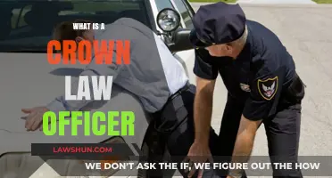 Understanding the Role and Responsibilities of a Crown Law Officer
