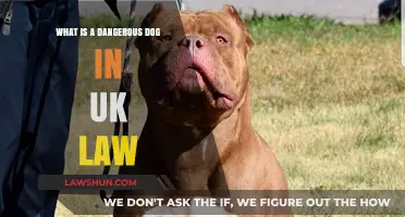 Understanding UK Law: What Makes a Dog 'Dangerous'?