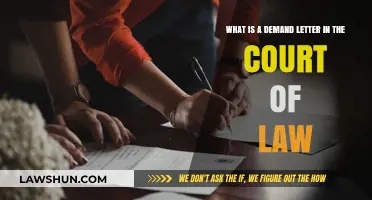 Understanding Demand Letters: Legal Purpose and Court Enforcement Explained
