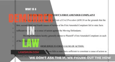 Understanding Demurrers: A Legal Guide to Challenging Court Cases