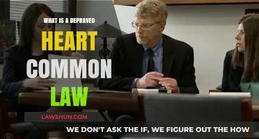 Depraved Heart Murder: Common Law's Serious Charge